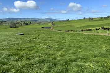 684 Maihiihi Road, Otorohanga