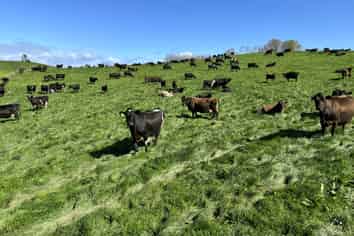 684 Maihiihi Road, Otorohanga