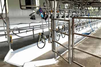 684 Maihiihi Road, Otorohanga