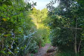 63 Brooklands Road, Atawhai