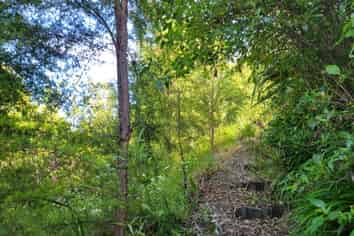 63 Brooklands Road, Atawhai