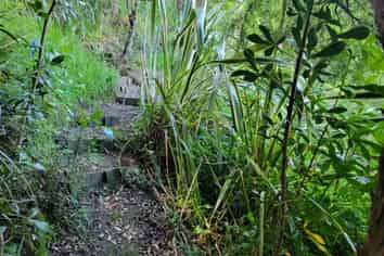 63 Brooklands Road, Atawhai