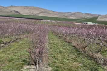 159 Thomson Gorge Road, Bendigo