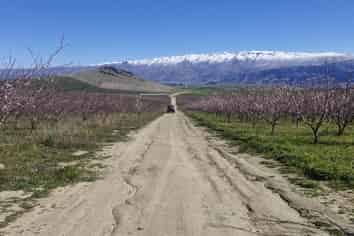 159 Thomson Gorge Road, Bendigo