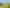 Northland - Address withheld