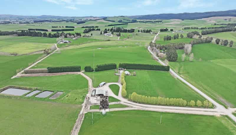 373 Camp Hill Road, Rongahere