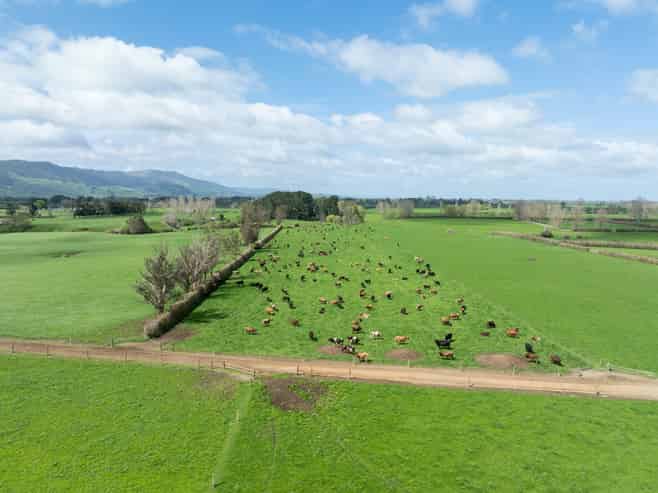 1099 Tower Road, Matamata
