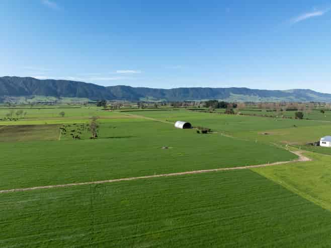 1099 Tower Road, Matamata