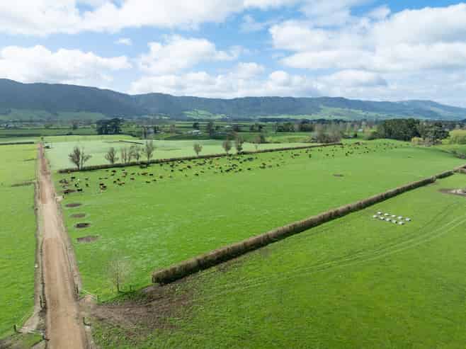 1099 Tower Road, Matamata