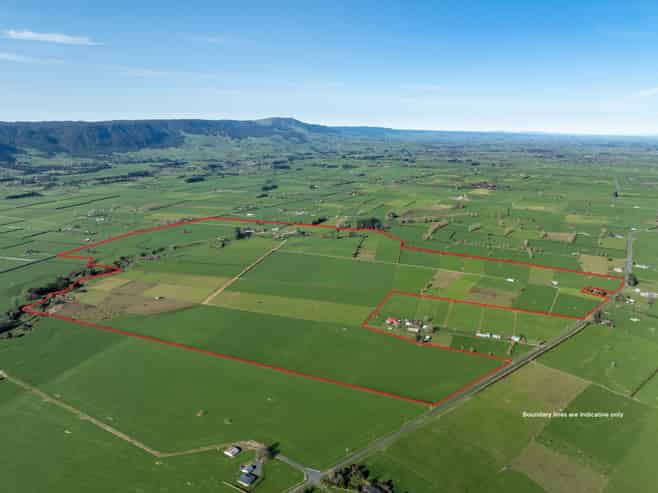 1099 Tower Road, Matamata