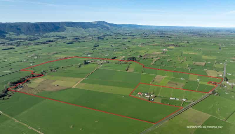 1099 Tower Road, Matamata