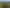 Martinborough Estate with Approved Subdivison