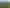 Martinborough Estate with Approved Subdivison