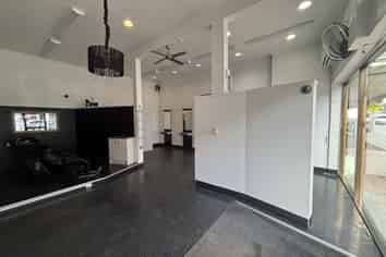 Petite Petone project property