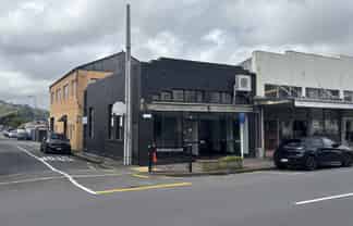 Petite Petone project property