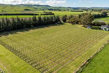 1114 Omihi Road, Waipara