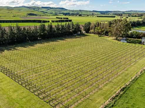 1114 Omihi Road, Waipara