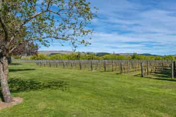 1114 Omihi Road, Waipara