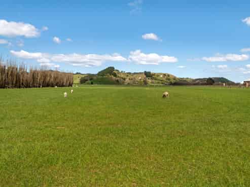 144 Ngakoroa Road, Ormond