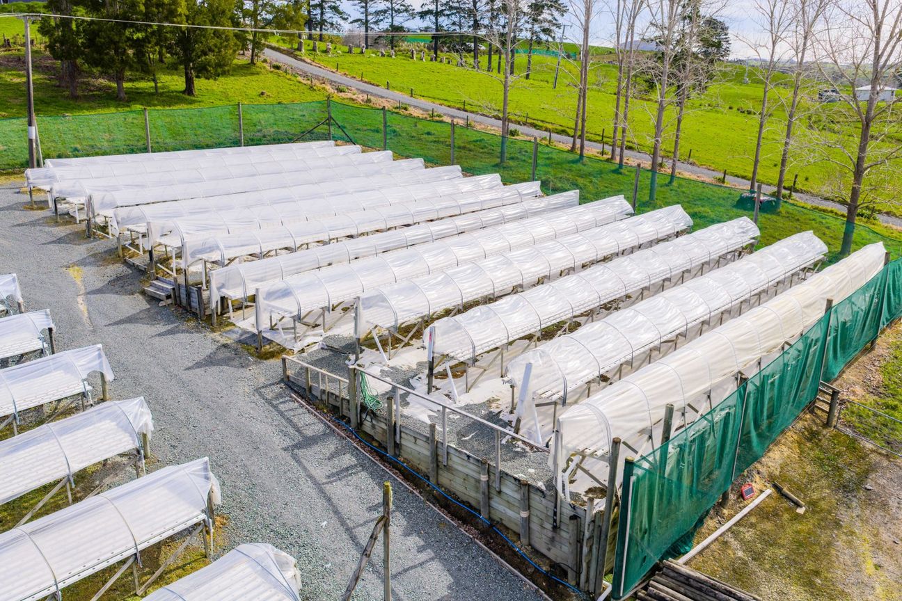 Well-appointed home with hydroponic business, Otaika