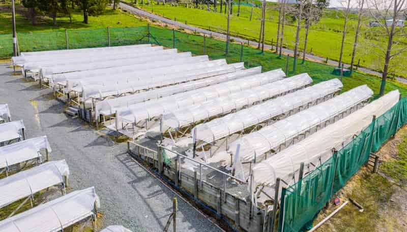 413 Otaika Valley Road, Otaika