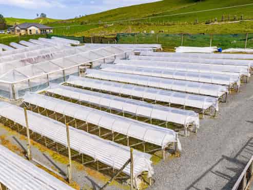 413 Otaika Valley Road, Otaika