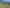  Waihola Highway, Milburn