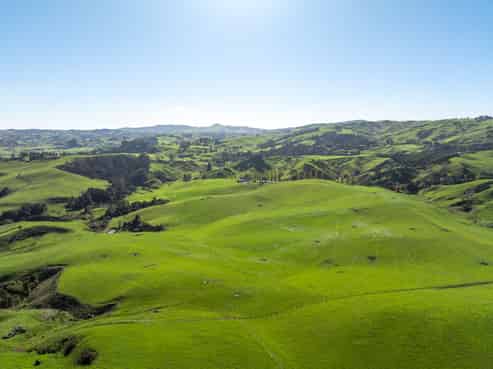 44 Oliver Road, Te Miro