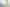 Central Auckland Dental Practice - Prime Demographics, Clear Growth Path
