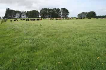 817 Rowan Road, Kaponga