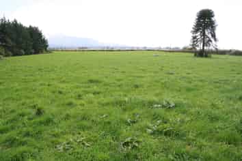 817 Rowan Road, Kaponga