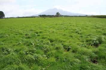 817 Rowan Road, Kaponga