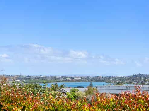 12 Miramar Place, Pakuranga