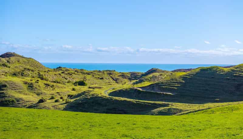 Lot 6 Mahuta Road, Dargaville