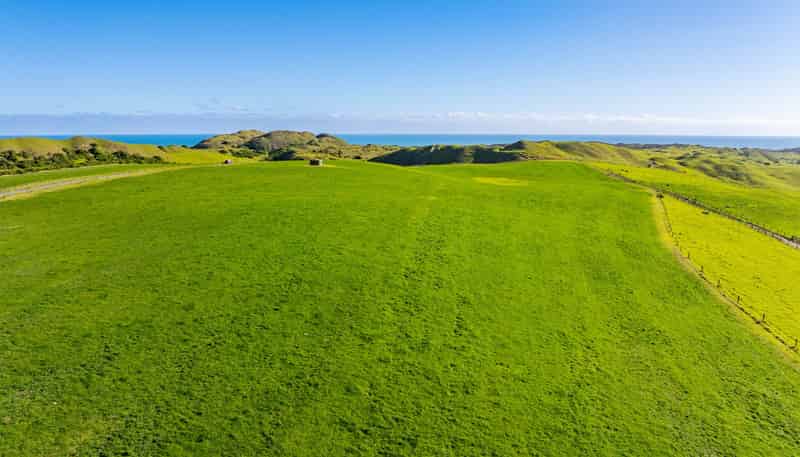 Lot 8 Mahuta Road, Dargaville