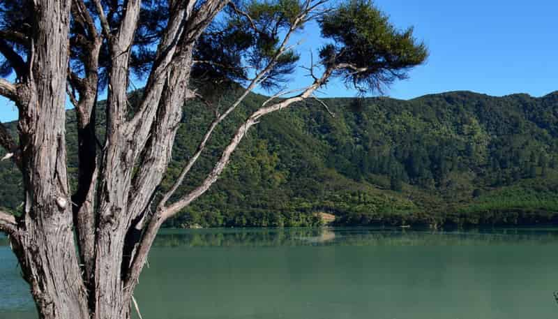 Lot 2 Kenepuru Head, Black Rock