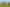 Auckland - Address withheld