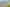 Auckland - Address withheld