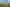 Auckland - Address withheld
