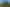 Auckland - Address withheld