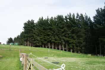 4/445 Palmerston-Dunback Road, Palmerston