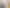 35 Poto Road, Normandale
