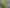 35 Poto Road, Normandale