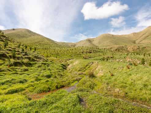 Tamaki East Road, Dannevirke