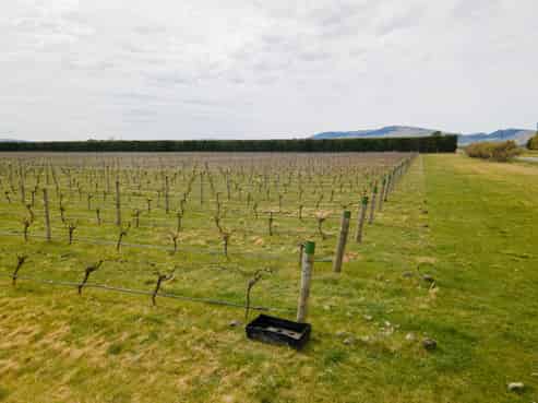 288 Georges Road, Waipara