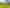 Medium Density Land–Neighbouring Canterbury Uni