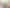 215 Riverbend Road, Meeanee