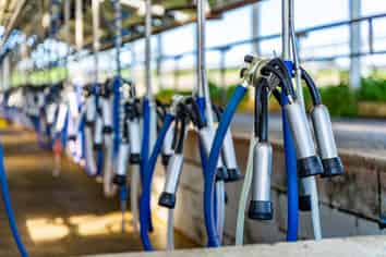 455 West Coast Road, Te Kopuru