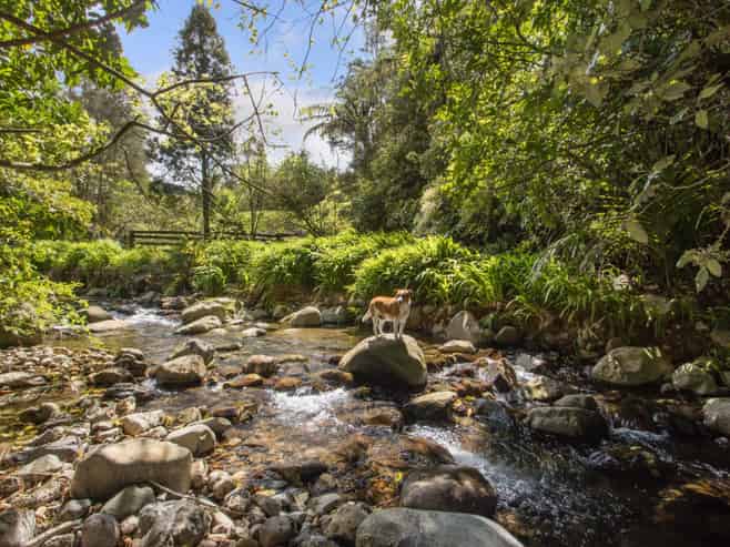 397 Busby Road, Katikati