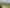 397 Busby Road, Katikati